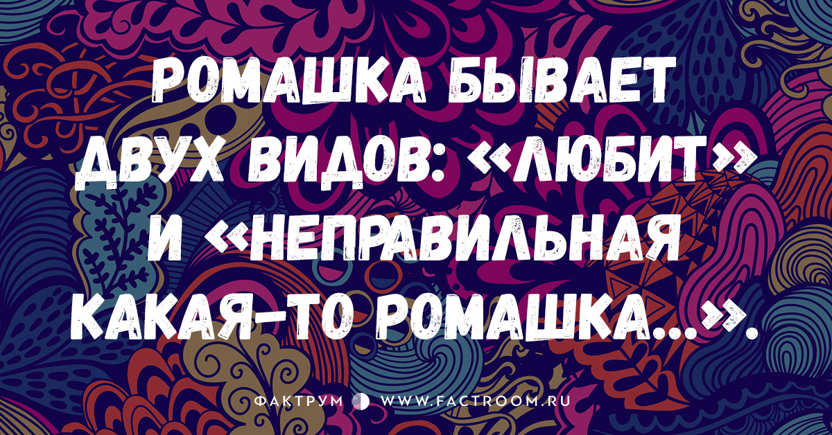 10 лучших анекдотов этой недели, которые заставят вас смеяться без остановки!