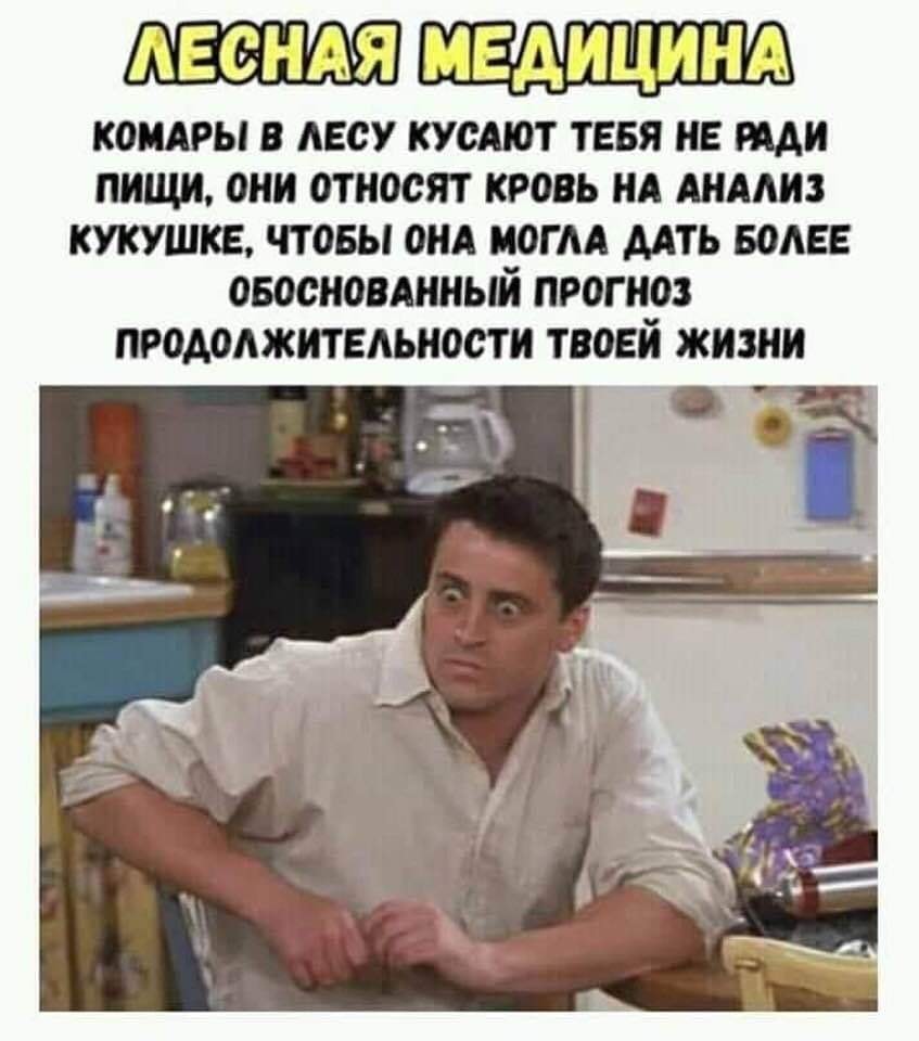 «Блондинка» «блондинке», по телефону: — Ой подруга у меня, как бы, беда на самом деле!… Юмор,картинки приколы,приколы,приколы 2019,приколы про