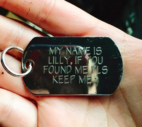hand-holding-dog-tag