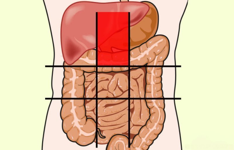 Боль в животе? Посмотрите на карту брюшной полости и определите недуг