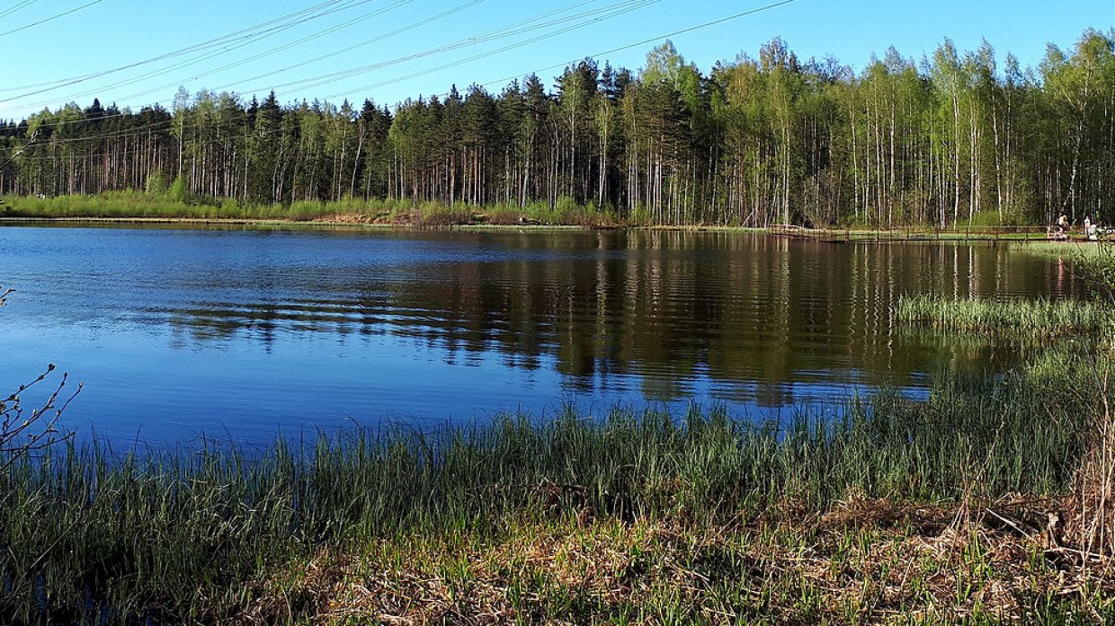 Подросток упал в воду с надувного матраса и утонул в Хабаровске Происшествия