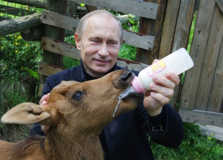 Жизнь Владимира Путина глазами американцев Жизнь Владимира Путина глазами американцев
