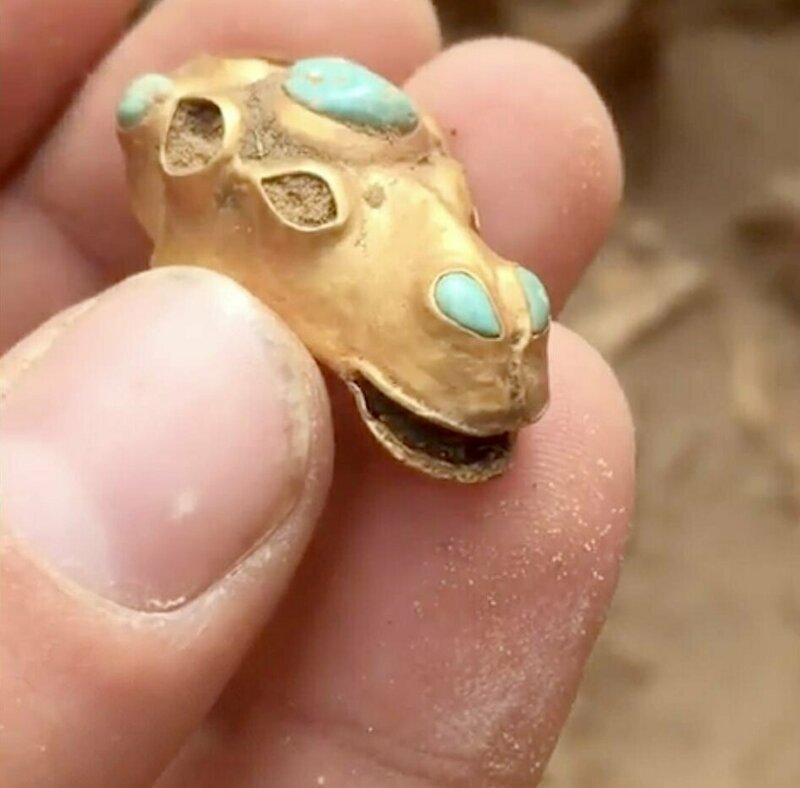 Золотая голова верблюда с бирюзой, найденная в погребальной яме вождя Астрахань, Сармат, археология, драгоценность, захоронение, находка, россия