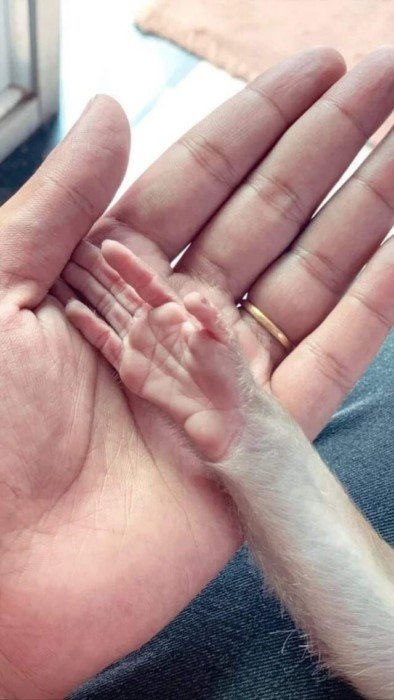 Фотографии, которые дают наглядное представление о размерах интересных вещей Фотографии, которые дают наглядное представление о размерах интересных вещей