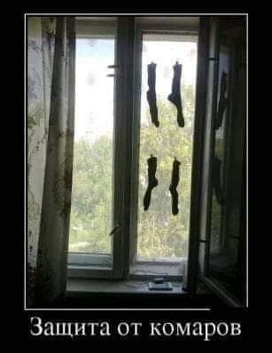 Хитрый страус втайне от жены выпивал с кротами Хитрый страус втайне от жены выпивал с кротами анекдоты,веселье,демотиваторы,приколы,смех,юмор