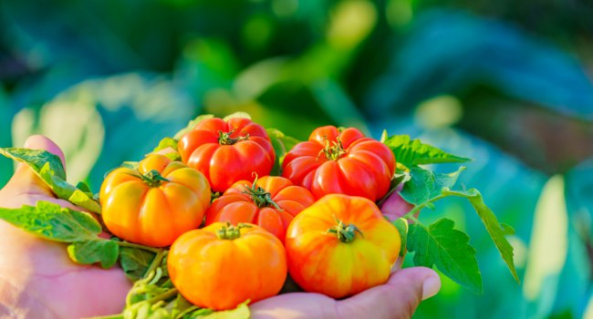 Анекдоты про водку. Часть 3 анекдоты