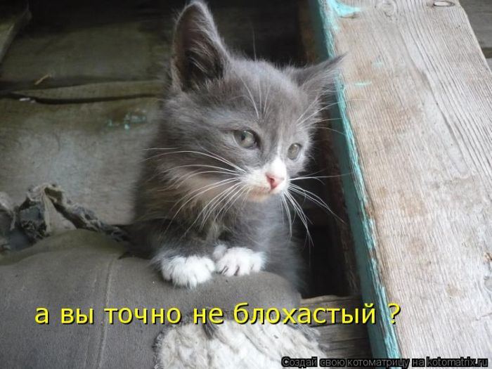 Мысли вслух :)