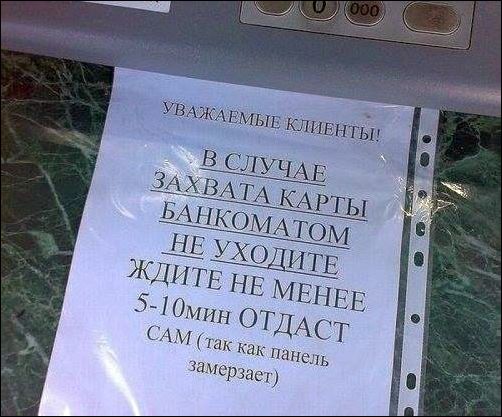 Пёрлы. Полезно от давления... весёлые