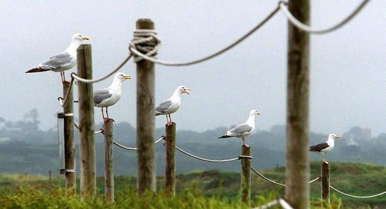 Дом мечты интровертов Дом мечты интровертов дом на острове