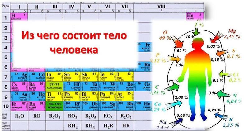 Величина Суточного Потребления Пищи Величина Суточного Потребления Пищи
