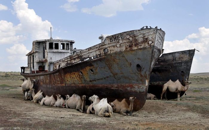 Как живёт сегодня Арал – море, которое принесли в жертву хлопку природа