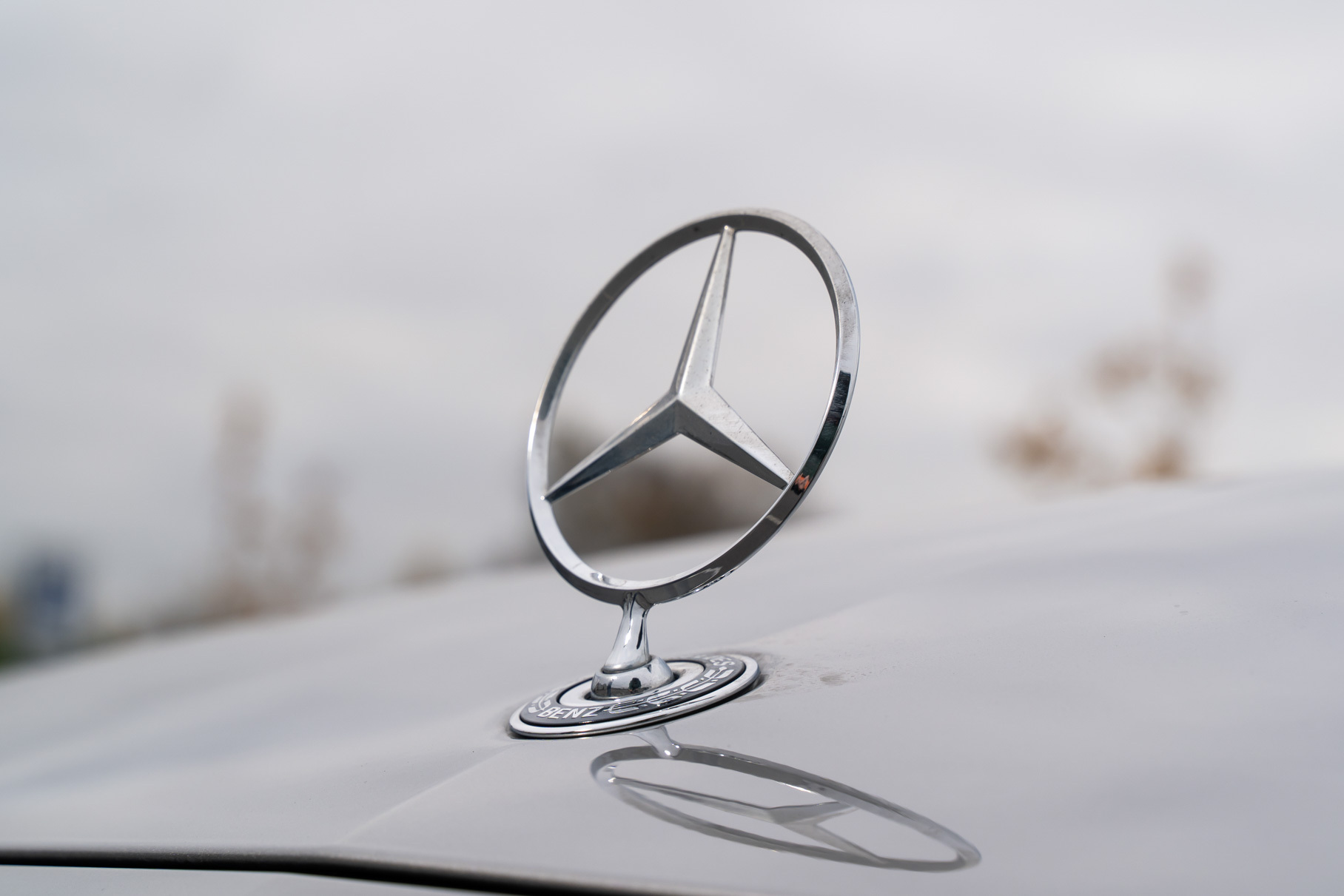 Кто обновился лучше? Тест бизнес седанов Mercedes-Benz и Volvo Тест-драйв