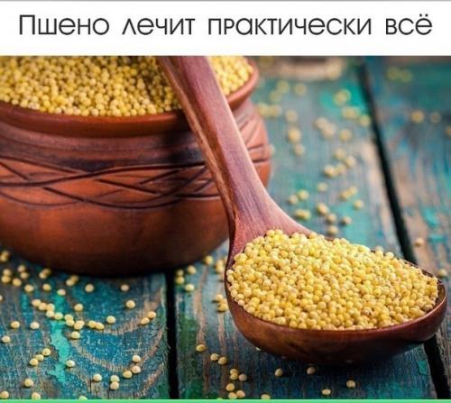 Забытые свойства пшена.