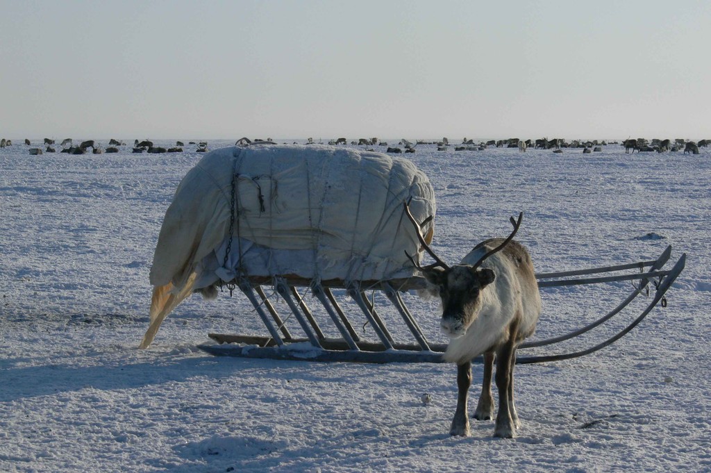 Фотография: Как выглядят самые крайние точки России №14 - BigPicture.ru