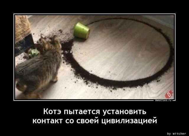 Демотиваторы-приколы в середине недели: «Мужчины все вещи обычно вешают на…»  