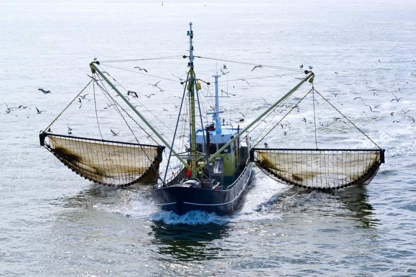 Почему в Арктике запрещен промышленный лов рыбы 