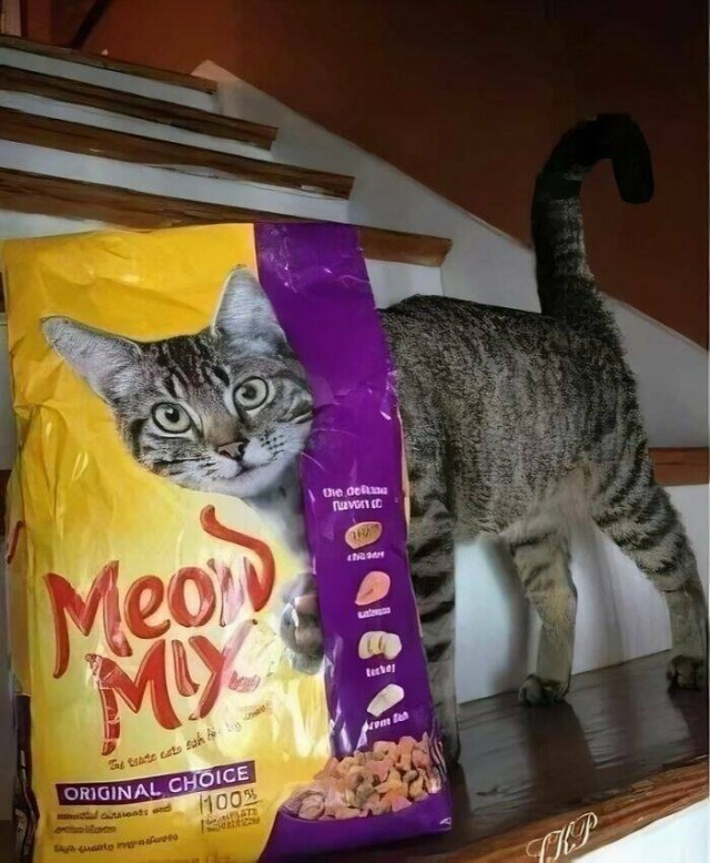 Очарование животных: моменты, которые заставляют улыбаться  