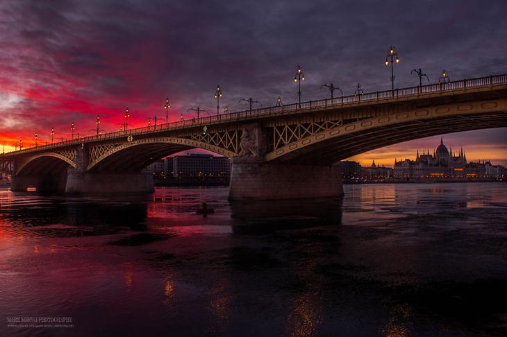 Фотограф 5 лет охотился за светом, чтобы показать настоящую красоту Будапешта