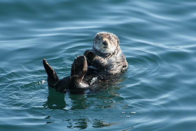 Курильские острова: романтика для истинных путешественников Курильские острова: романтика для истинных путешественников авиатур
