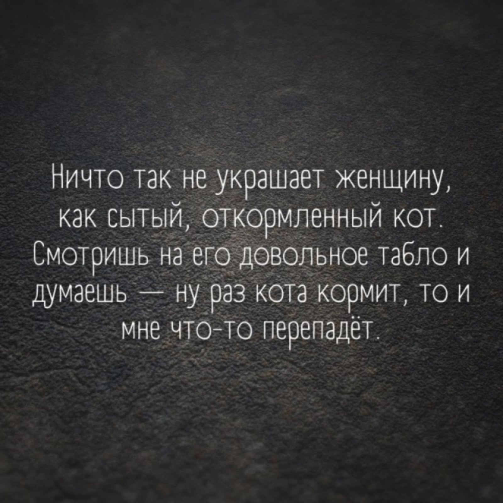 Шутки, анекдоты и забавности, способные поднять настроение на максимум 