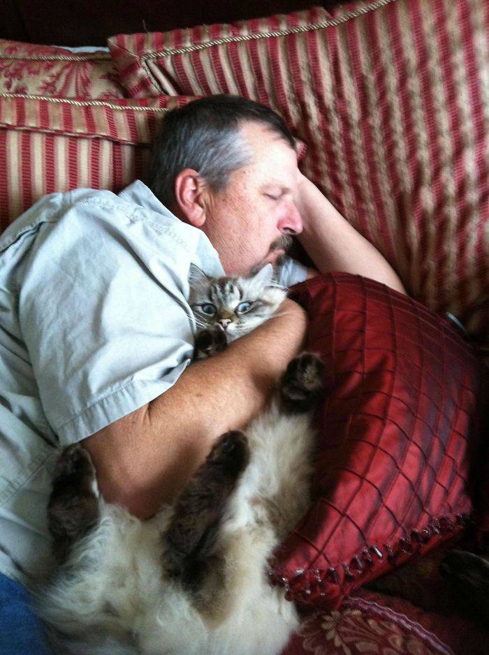 14 человек, которые не хотели заводить котов, но сдались перед кошачьим обаянием