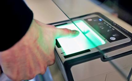 Украинцы рвутся в Россию, обдуривая по дороге поляков