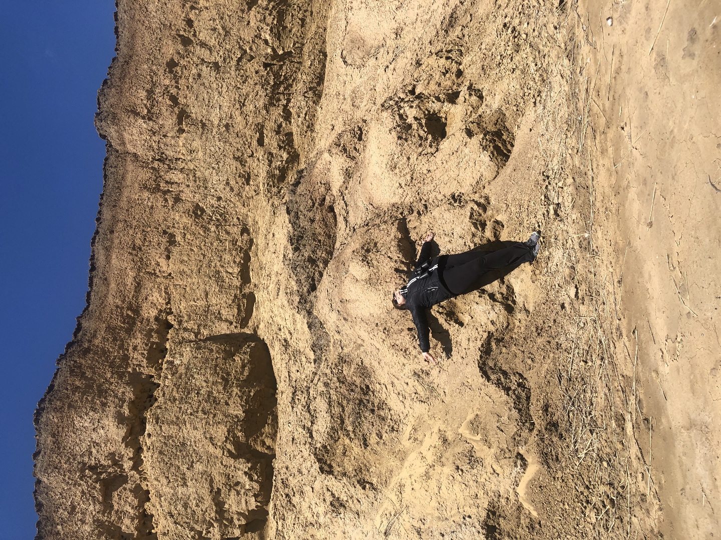 Птицы на Маныче 