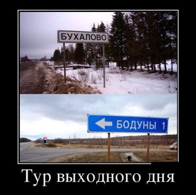 Демотиваторы выходного  дня 