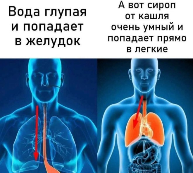 Смешные картинки с надписями и физика для чайников Смешные картинки с надписями и физика для чайников