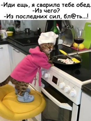 Диалог в студенческой столовой:– У вас есть гуляш?... Диалог в студенческой столовой:– У вас есть гуляш?... Весёлые