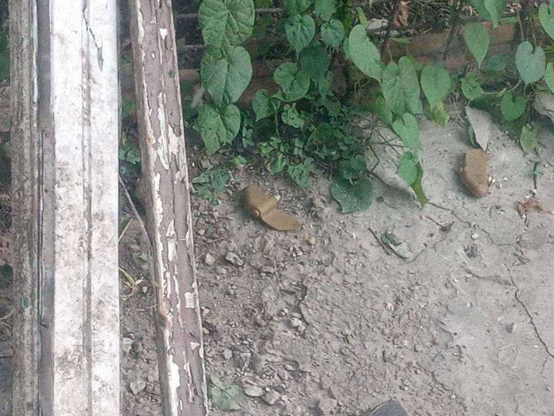 Украинский террор минами ПФМ-1 "Лепесток" оружие