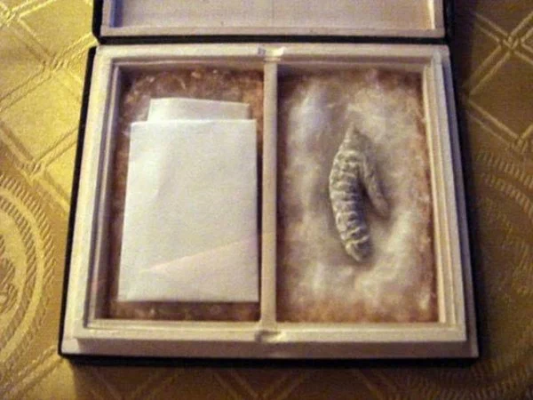 1.  Основатель психоанализа Фрейд был обычным невротиком, домоседом. Он испытывал панический страх перед путешествиями: считал, что обязательно случится железнодорожная катастрофа, что он погибнет.-3