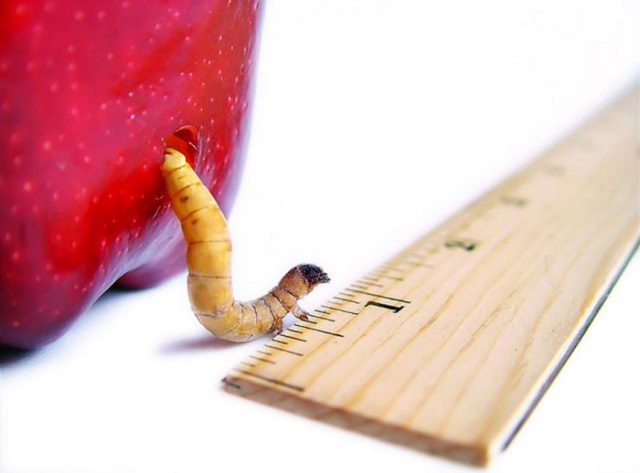 Забавности :) (49 штук)