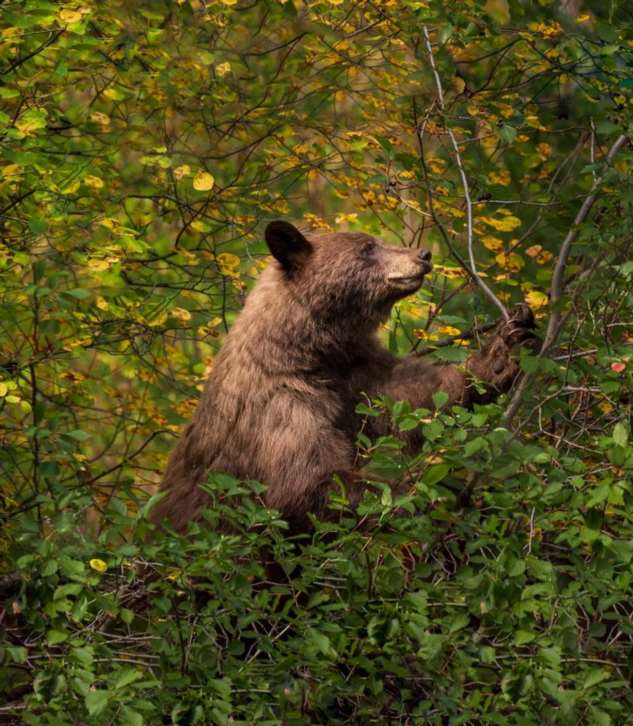 18 фото, на которых хочется рассмотреть каждую деталь, как на шедеврах живописцев эпохи Ренессанса