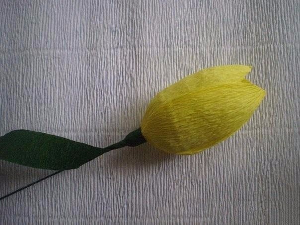 Тюльпаны. Букет из конфет маме на 8 марта. Мастер-класс handmake