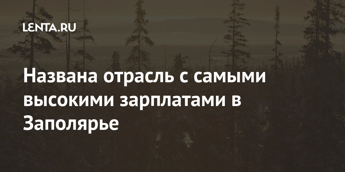 Названа отрасль с самыми высокими зарплатами в Заполярье 69-я параллель