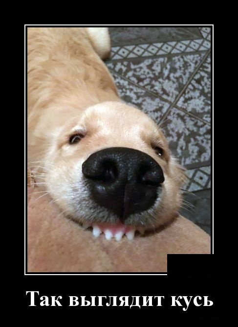 - Что означают пятна на Солнце? - Окна пора мыть! - Что означают пятна на Солнце? - Окна пора мыть! анекдоты,демотиваторы,приколы