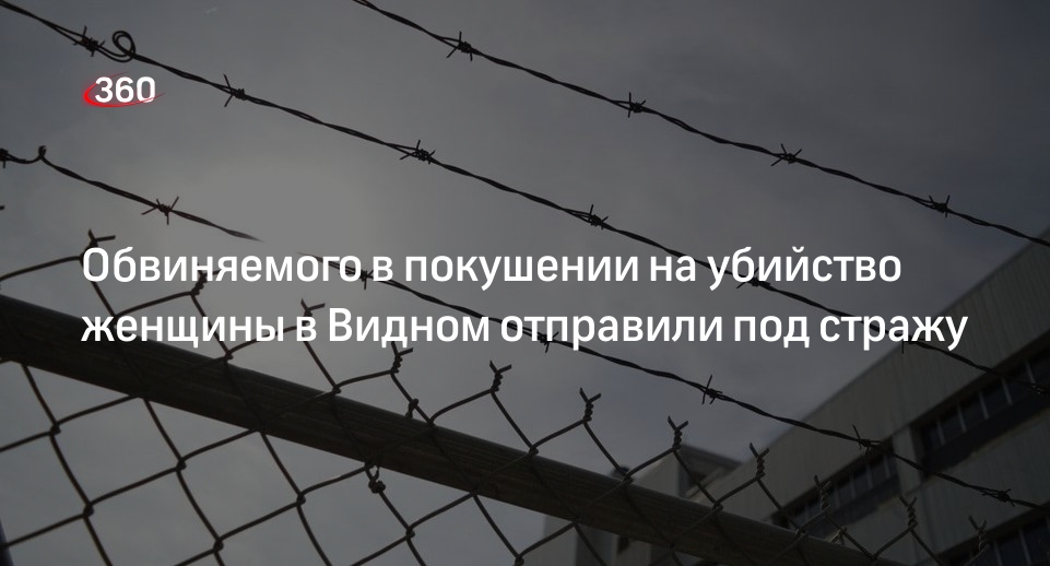 Суд отправил под стражу обвиняемого в покушении на убийство женщины в Видном