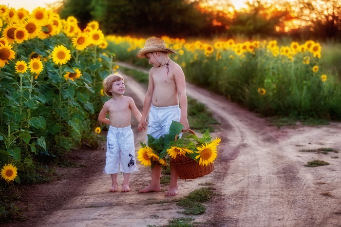  Два брата идут вдоль проселочной дороги, по краям которой растут желтые подсолнухи. Автор фотографии: Екатерина Савёлова.
