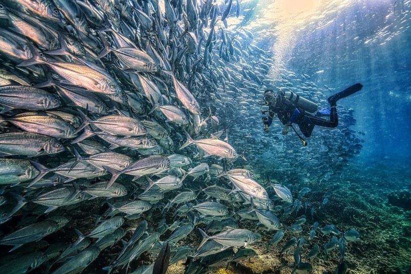 24 потрясающих фото, выигравших национальную премию Sony World Photography Awards