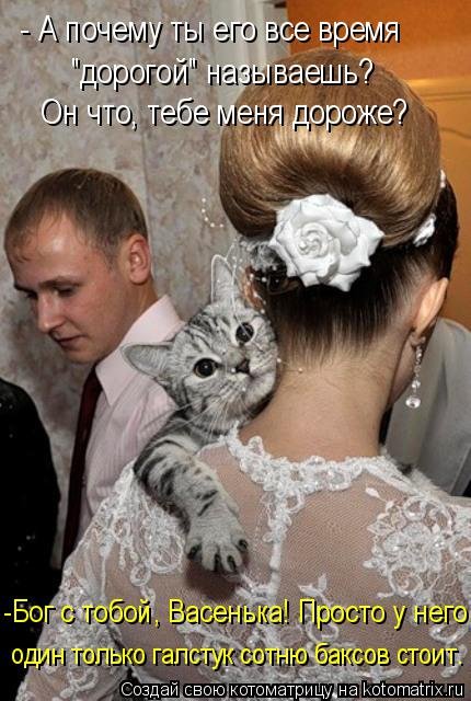Котоматрица на Бугаге (28 фото)