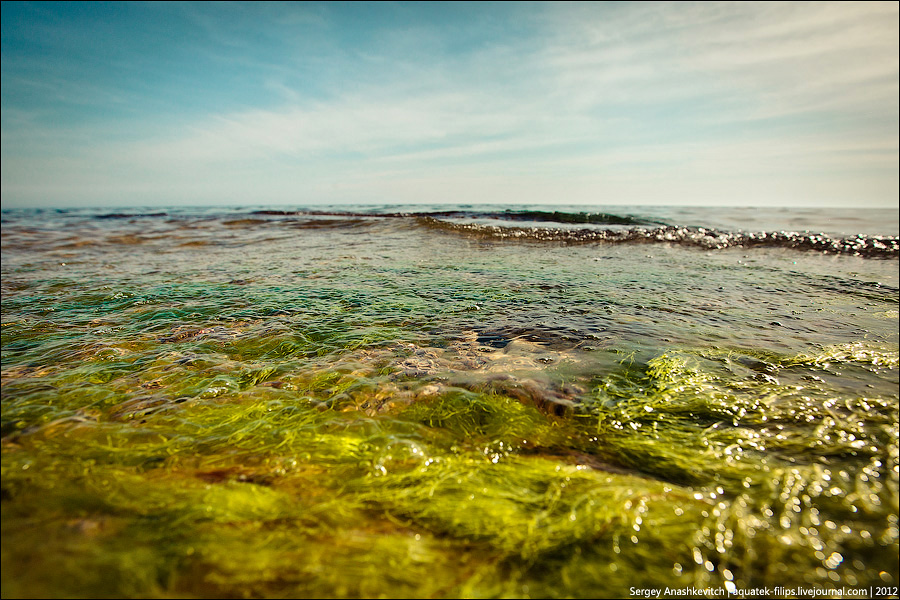 Черное море наука. Черное море. Майские на море. Черное море фото.