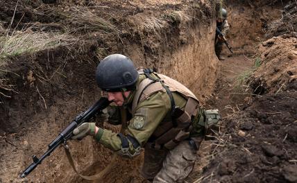 Военно-полевой суд: СБУ и бандеровцы расстреливать своих будут прямо в оврагах украина