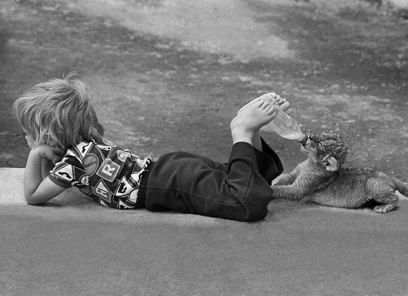 Позитивный фотограф Джон Дрисдейл Фотография