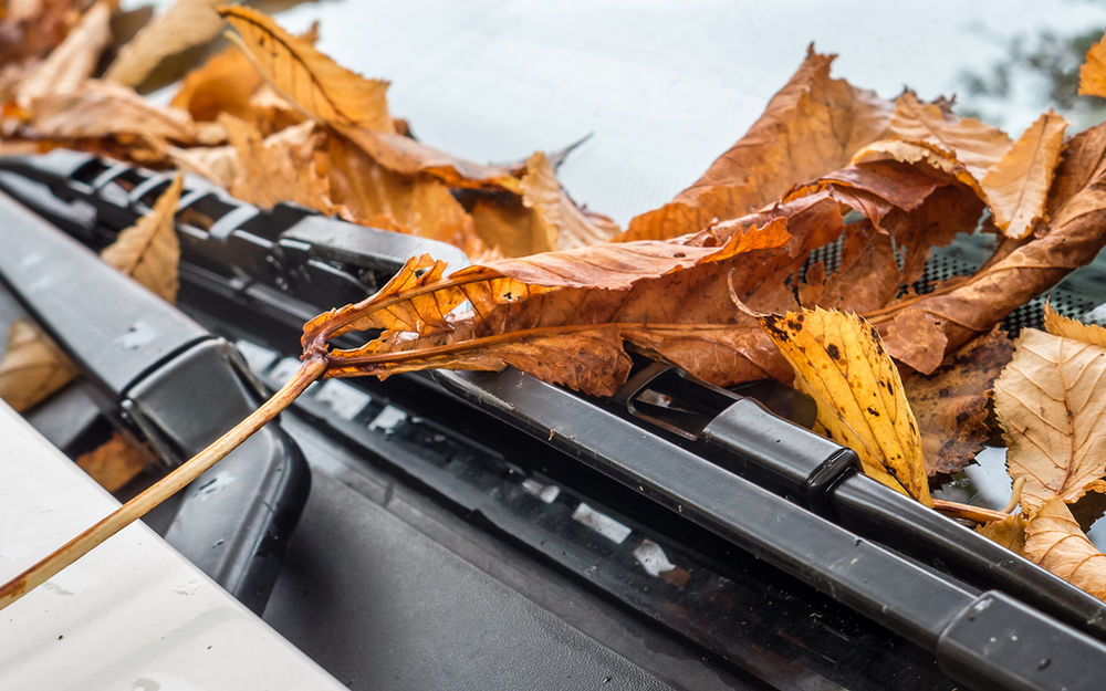 6 надежных способов испортить дворники