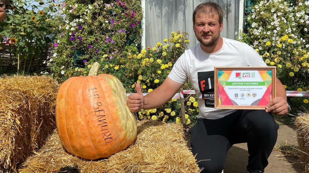 Одна из самых больших в России: кубанский фермер вырастил тыкву весом в 400 кг Одна из самых больших в России: кубанский фермер вырастил тыкву весом в 400 кг Общество