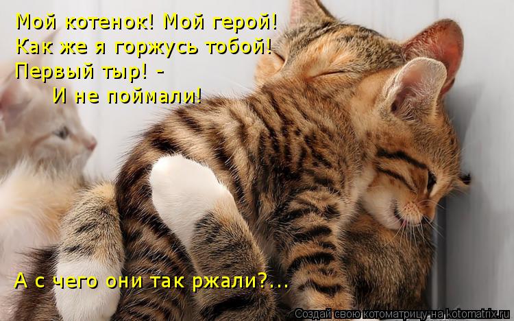 Котоматрица: Мой котенок! Мой герой! Как же я горжусь тобой! Первый тыр! - И не поймали! А с чего они так ржали?...