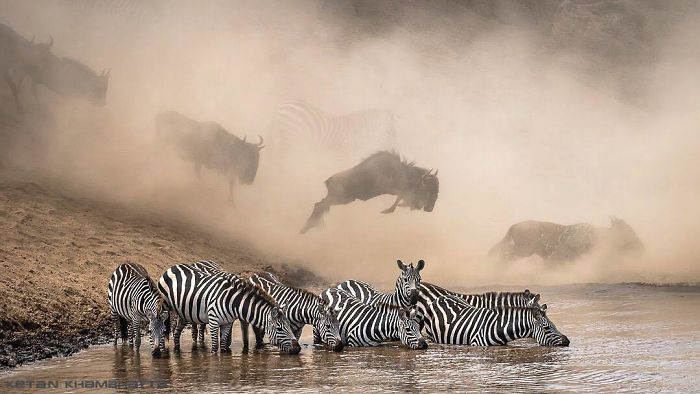 30 самых потрясающих фото, которые были опубликованы в National Geographic natgeo100contest