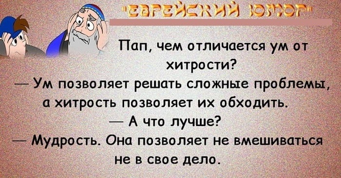 Самые отборные сливки из «Еврейского юмора». Вы точно найдёте себе что-то по вкусу юмор