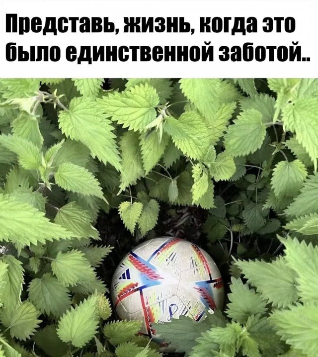 Смешные картинки с надписями и физика для чайников Смешные картинки с надписями и физика для чайников